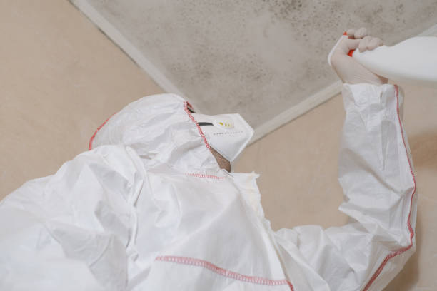 Insurance-Related Mold Remediation